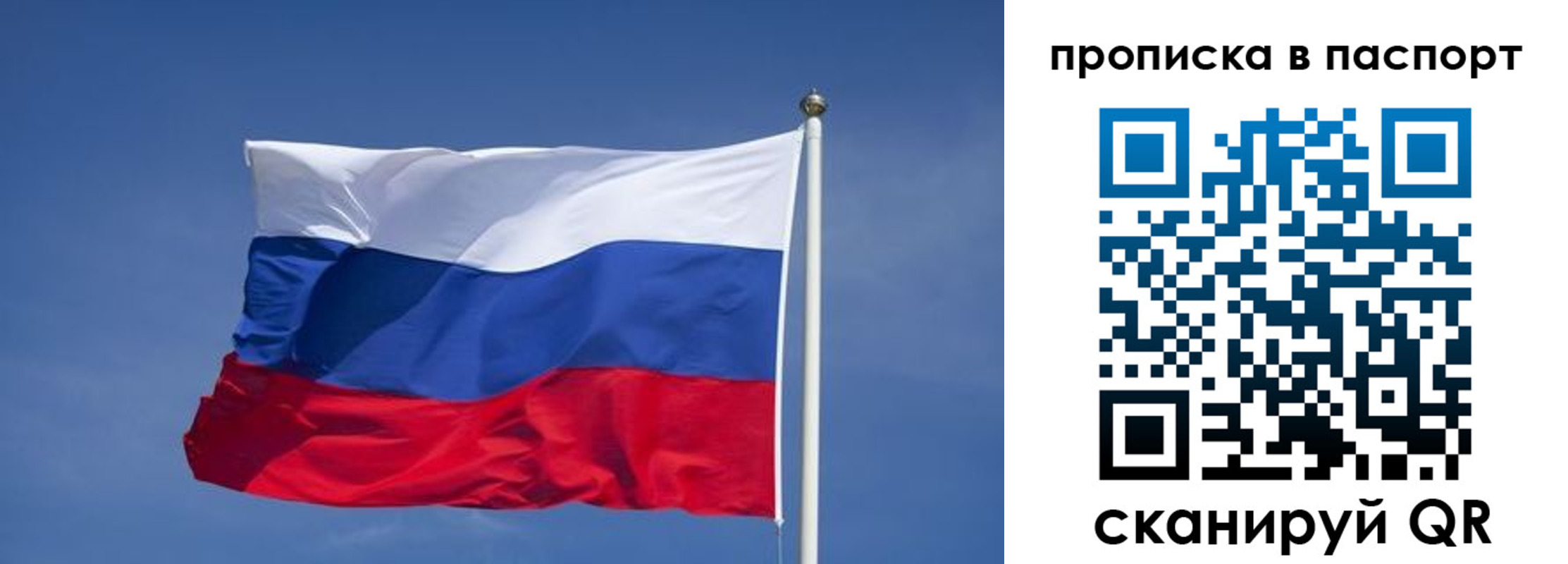 прописка ребенка в Пионерском